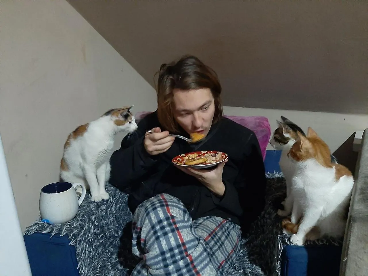 Everyday Cat Hostel Batumi 0*,  Georgia