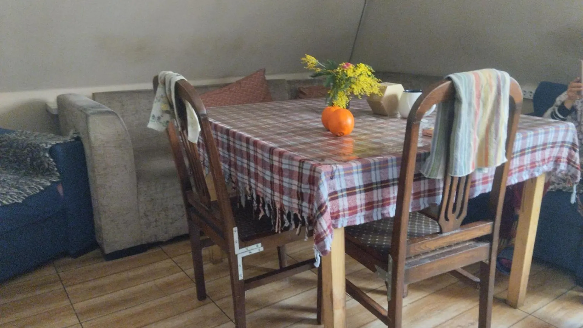 Everyday Cat Hostel Batumi