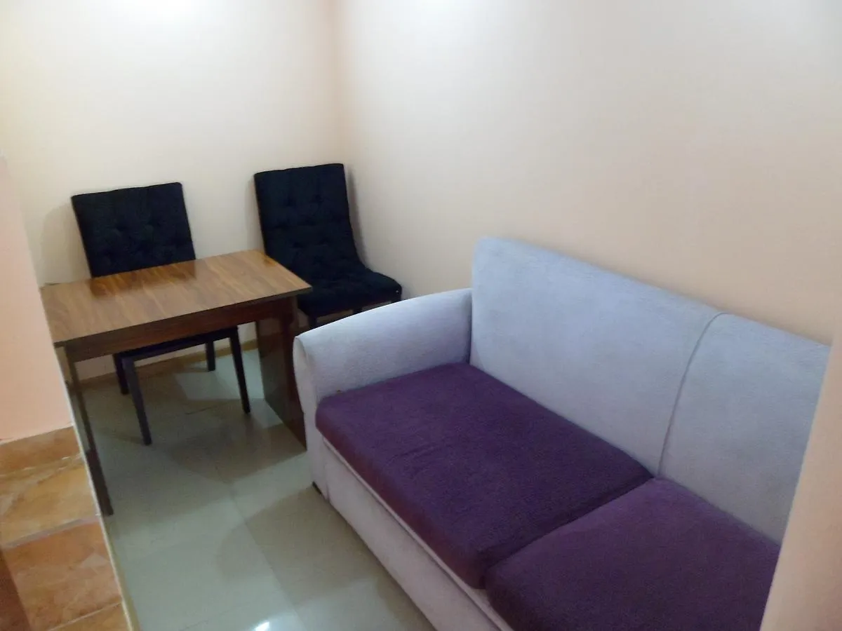Everyday Cat Hostel Batumi