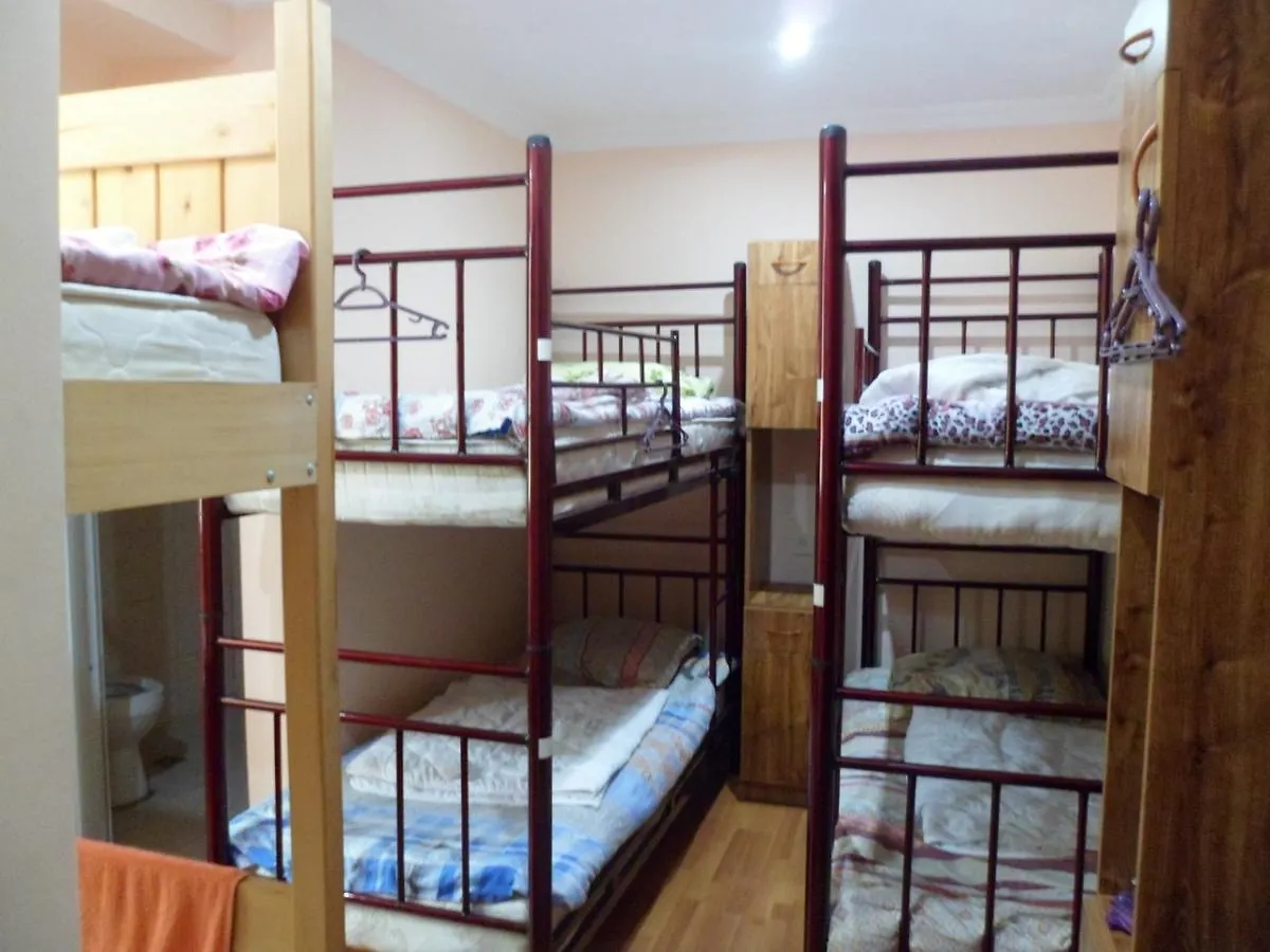 Everyday Cat Hostel Batumi